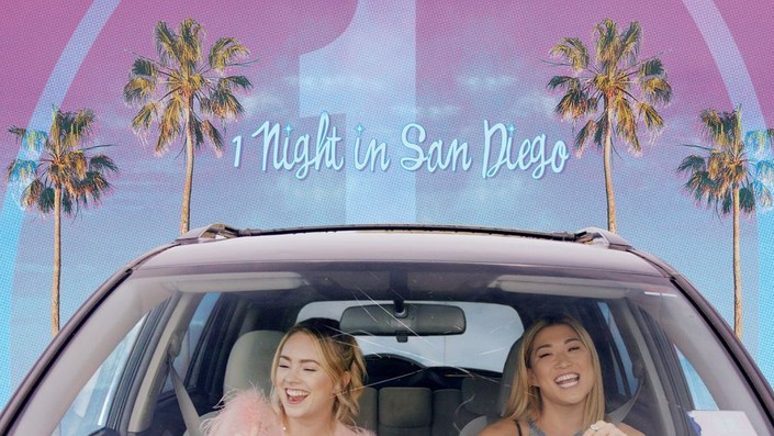 1 Night in San Diego